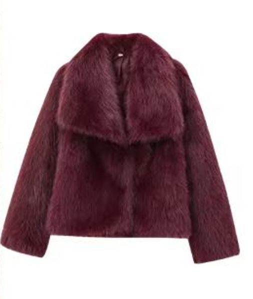 Manteau en Peluche Hiver - Mode, Épais et Chaud - ElyGlam