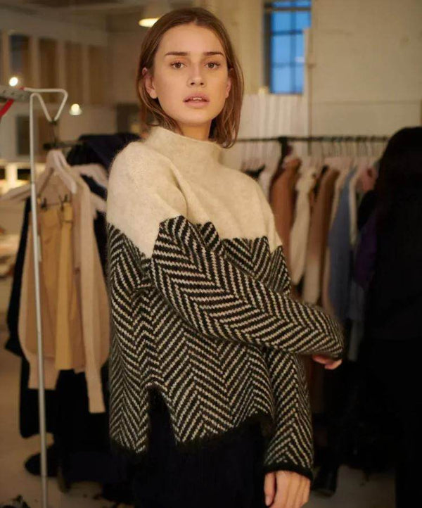 Pull Col Roulé Douillet - ElyGlam